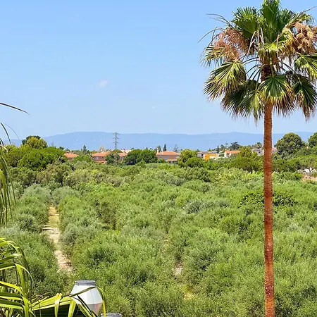 Hotel Emerald Sun 4*